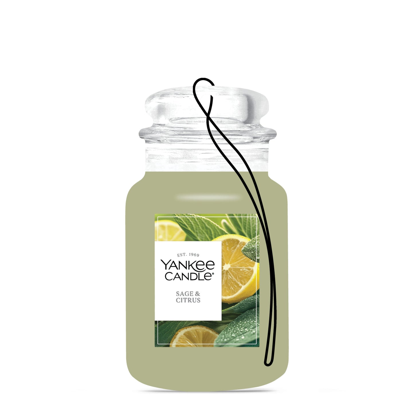 Sage & Citrus Edit 3-0349