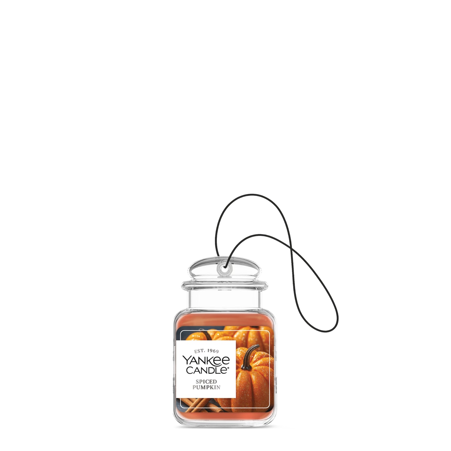 Spiced Pumpkin Series 3-0280